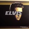 Elvis - Rubberneckin' (Paul Oakenfold Remix)